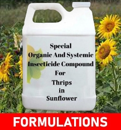 Formulations And Production Process of Organic And Systemic Insecticide Compound For Thrips in Sunflower