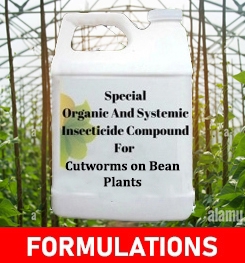 Formulations And Production Process of Organic And Systemic Insecticide Compound For Cutworms on Bean Plants