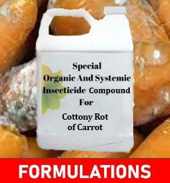 Formulations And Production Process of Organic And Systemic Fungicide Compound For Cottony Rot of Carrot
