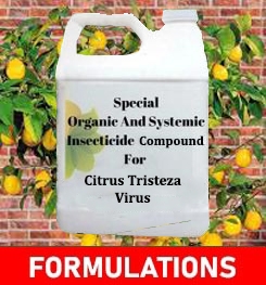 Formulations And Production Process of Organic And Systemic Fungicide Compound For Citrus Tristeza Virus