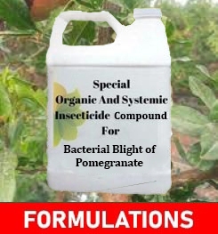 Formulations And Production Process of Organic And Systemic Fungicide Compound For Bacterial Blight of Pomegranate