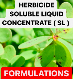 HERBICIDE SOLUBLE LIQUID CONCENTRATE ( SL ) PESTICIDE FORMULATIONS AND PRODUCTION PROCESS