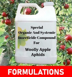 Formulations And Production Process of Organic And Systemic Insecticide Compound For Woolly Apple Aphids