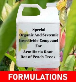Formulations And Production Process of Organic And Systemic Fungicide Compound For Armillaria Root Rot of Peach Trees