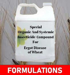 Formulations And Production Process of Organic And Systemic Fungicide Compound For Ergot Disease of Wheat