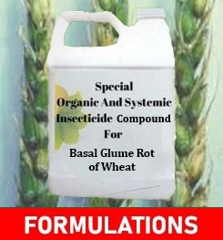 Formulations And Production Process of Organic And Systemic Fungicide Compound For Basal Glume Rot of Wheat