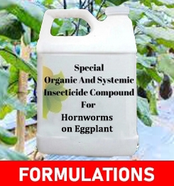 Formulations And Production Process of Organic And Systemic Insecticide Compound For Hornworms on Eggplant