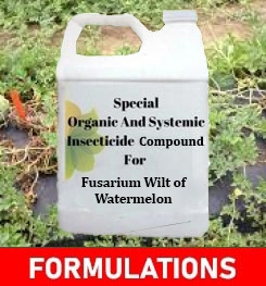 Formulations And Production Process of Organic And Systemic Fungicide Compound For Fusarium Wilt of Watermelon
