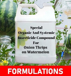 Formulations And Production Process of Organic And Systemic Insecticide Compound For Onion Thrips on Watermelon