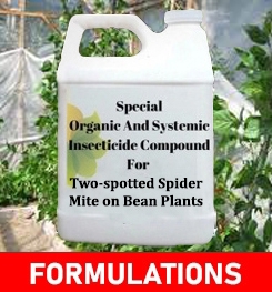 Formulations And Production Process of Organic And Systemic Insecticide Compound For Two-spotted Spider Mite on Bean Plants