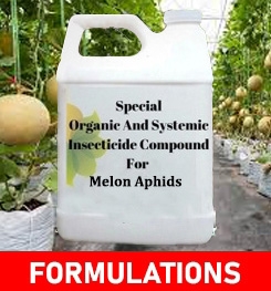 Formulations And Production Process of Organic And Systemic Insecticide Compound For Melon Aphids