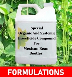 Formulations And Production Process of Organic And Systemic Insecticide Compound For Mexican Bean Beetles