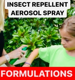 INSECT REPELLENT AEROSOL SPRAY FORMULATIONS AND PRODUCTION PROCESS