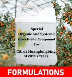 Formulations And Production Process of Organic And Systemic Fungicide Compound For Citrus Huanglongbing of citrus trees