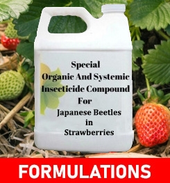 Formulations And Production Process of Organic And Systemic Insecticide Compound For Japanese Beetles in Strawberries