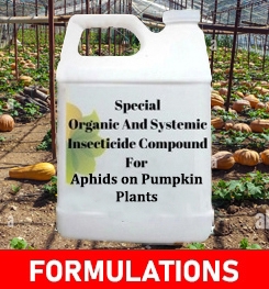 Formulations And Production Process of Organic And Systemic Insecticide Compound For Aphids on Pumpkin Plants