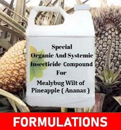Formulations And Production Process of Organic And Systemic Fungicide Compound For Mealybug Wilt of Pineapple ( Ananas )