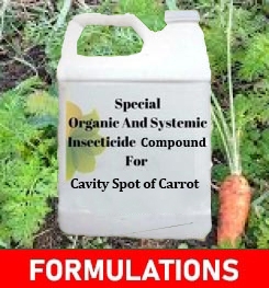 Formulations And Production Process of Organic And Systemic Fungicide Compound For Cavity Spot of Carrot