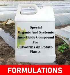 Formulations And Production Process of Organic And Systemic Insecticide Compound For Cutworms on Potato Plants