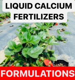 LIQUID CALCIUM FERTILIZERS FORMULATIONS AND PRODUCTION PROCESS
