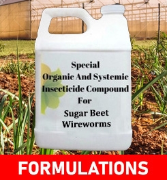 Formulations And Production Process of Organic And Systemic Insecticide Compound For Sugar Beet Wireworms