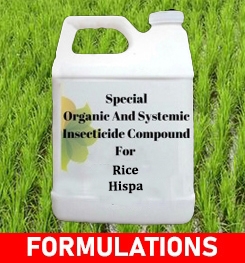 Formulations And Production Process of Organic And Systemic Insecticide Compound For Rice Hispa