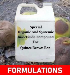 Formulations And Production Process of Organic And Systemic Fungicide Compound For Quince Brown Rot