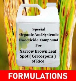 Formulations And Production Process of Organic And Systemic Fungicide Compound For Narrow Brown Leaf Spot ( Cercospora ) of Rice