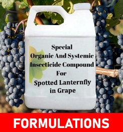 Formulations And Production Process of Organic And Systemic Insecticide Compound For Spotted Lanternfly in Grape