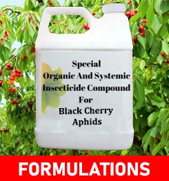 Formulations And Production Process of Organic And Systemic Insecticide Compound For Black Cherry Aphids