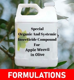 Formulations And Production Process of Organic And Systemic Insecticide Compound For Apple Weevil in Olive