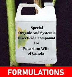 Formulations And Production Process of Organic And Systemic Fungicide Compound For Fusarium Wilt of Canola