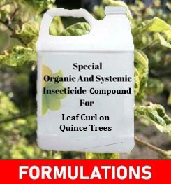 Formulations And Production Process of Organic And Systemic Fungicide Compound For Leaf Curl on Quince Trees