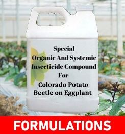 Formulations And Production Process of Organic And Systemic Insecticide Compound For Colorado Potato Beetle on Eggplant