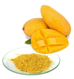 INSTANT MANGO JUICE POWDER FORMULATIONS AND PRODUCTION PROCESS