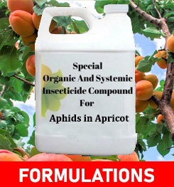 Formulations And Production Process of Organic And Systemic Insecticide Compound For Aphids in Apricot