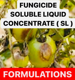 FUNGICIDE SOLUBLE LIQUID CONCENTRATE ( SL ) FORMULATIONS AND PRODUCTION PROCESS