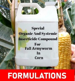 Formulations And Production Process of Organic And Systemic Insecticide Compound For Fall Armyworm In Corn