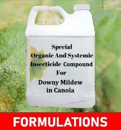 Formulations And Production Process of Organic And Systemic Fungicide Compound For Downy Mildew in Canola