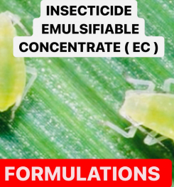 INSECTICIDE EMULSIFIABLE CONCENTRATE ( EC ) PESTICIDES  FORMULATIONS AND PRODCUTION PROCESSES