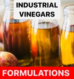 INDUSTRIAL VINEGARS FORMULATIONS AND PRODUCTION PROCESS