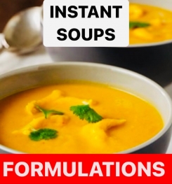 INSTANT SOUPS FORMULATIONS AND PRODUCTION PROCESS