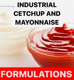 INDUSTRIAL CETCHUP AND MAYONNAISE FORMULATIONS AND PRODUCTION PROCESS