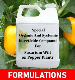 Formulations And Production Process of Organic And Systemic Fungicide Compound For Fusarium Wilt on Pepper Plants
