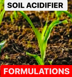 SOIL ACIDIFIER FORMULATIONS AND MANUFACTURING PROCESSES