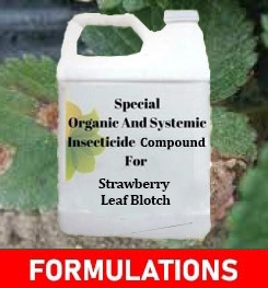 Formulations And Production Process of Organic And Systemic Fungicide Compound For Strawberry Leaf Blotch
