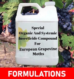 Formulations And Production Process of Organic And Systemic Insecticide Compound For European Grapevine Moths