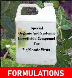 Formulations And Production Process of Organic And Systemic Fungicide Compound For Fig Mosaic Virus