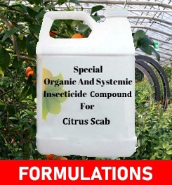 Formulations And Production Process of Organic And Systemic Fungicide Compound For Citrus Scab