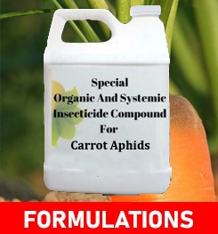 Formulations And Production Process of Organic And Systemic Insecticide Compound For Carrot Aphids